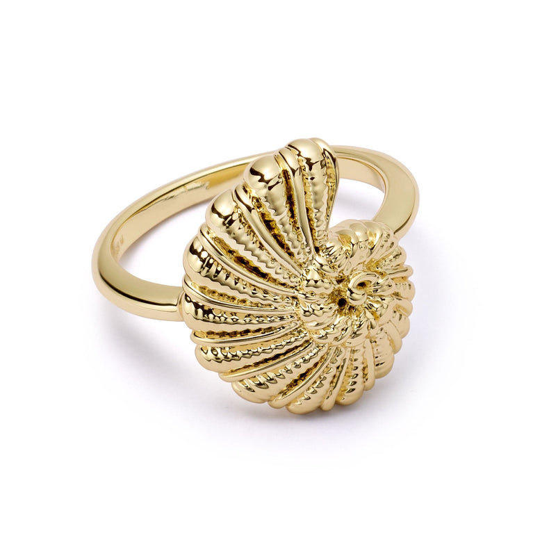 Polly Sayer Shell Ring 18ct Gold Plate recommended